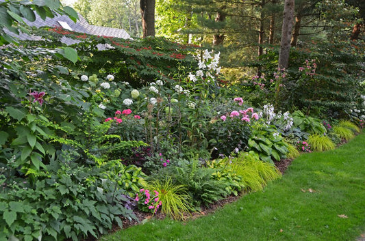 A lush garden bed with a variety of flowers and green plants borders a neatly trimmed lawn, with trees and shrubs in the background under dappled sunlight.