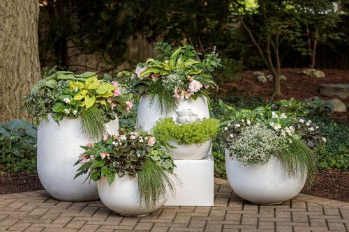 Decorative outdoor setting with white planters filled with greenery and flowers on a paved area.