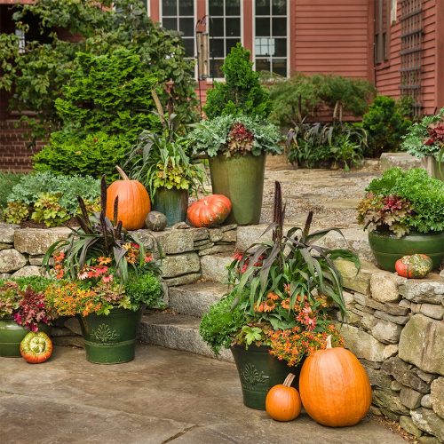 Potted plants and pumpkins of various sizes decorate stone steps outside a house, creating a festive autumn display with greenery, orange flowers, and seasonal gourds.