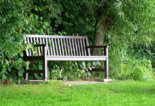 A wooden bench sits on a small paved area surrounded by lush green grass and dense leafy trees, creating a peaceful and shaded spot in a garden or park.
