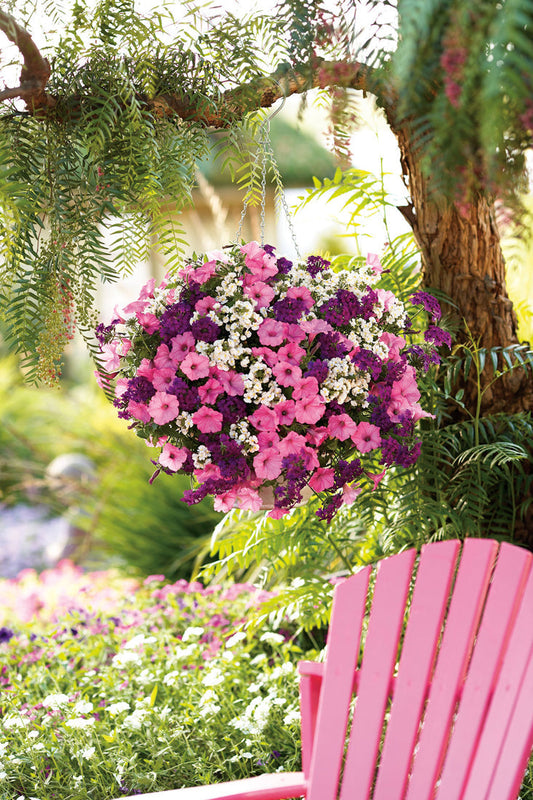 A hanging basket filled with vibrant pink, purple, and white flowers is suspended from a tree branch above a pink Adirondack chair in a lush, sunlit garden.
