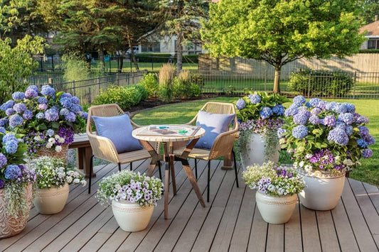 Outdoor seating area with flowers in containers on a wooden deck.