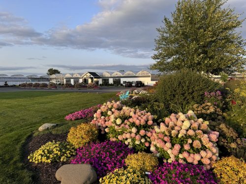 Year in Review: Top 10 Plants of 2024