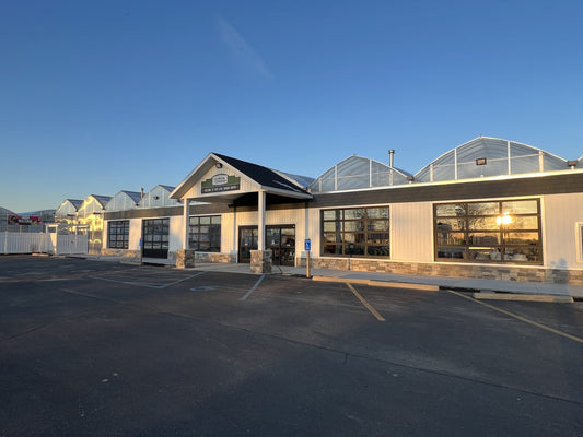 A large commercial greenhouse building with a white exterior, multiple peaked roofs, glass panels, and a parking lot in front, pictured under a clear blue sky at sunrise or sunset.