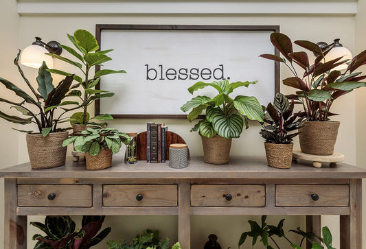 A wooden table with potted houseplants, books, candles, and small decor items. Above the table is a framed sign with the word blessed. Two wall lamps provide soft lighting.