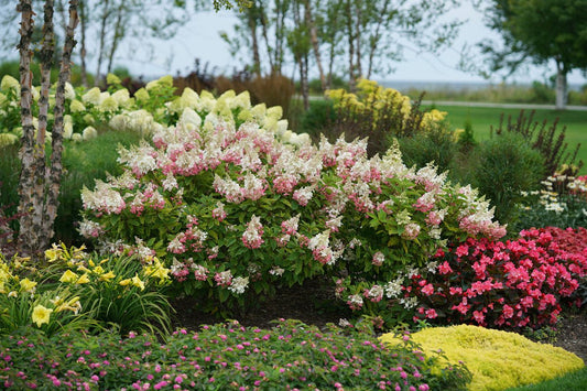 A colorful garden with blooming bushes and a variety of flowers, including pink, yellow, and white blossoms, surrounded by green grass and trees in the background.