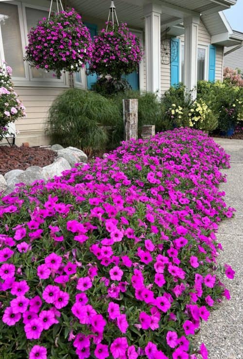 Year in Review: Top 10 Garden Performers of 2023