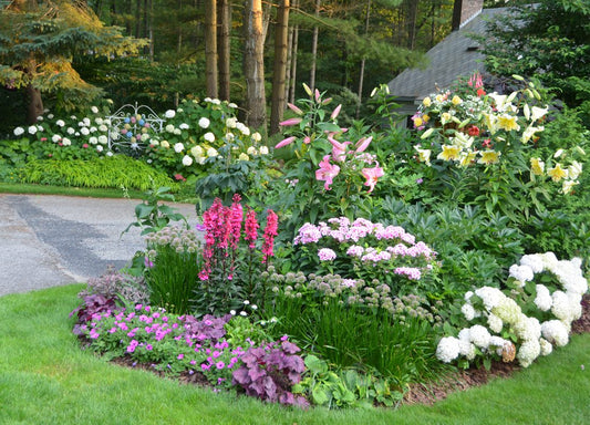 A lush garden bed filled with colorful blooming flowers including pink lilies, white hydrangeas, and purple and magenta blossoms, bordered by green grass and surrounded by tall trees.