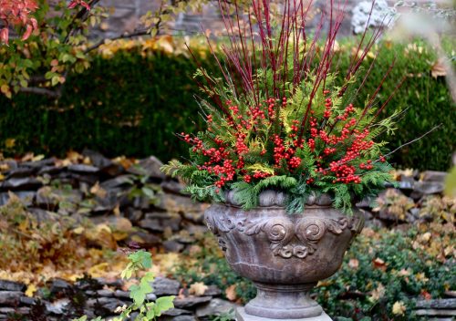 10 Best Garden Plants for Holiday Decorating