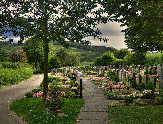 A peaceful cemetery with rows of gravestones, colorful flowers, and green shrubs. A stone path divides the graves, and leafy trees provide shade under a cloudy sky, with rolling green hills in the background.
