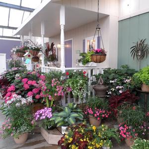 A white front porch crowded with numberous hanging baskets and planters filled with blooming plants