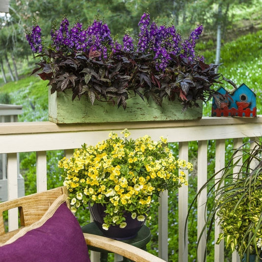 White slotted railing with a green wood container filled with purple flowers. Another container sits lower on a small table next to a chair with yellow flowers.