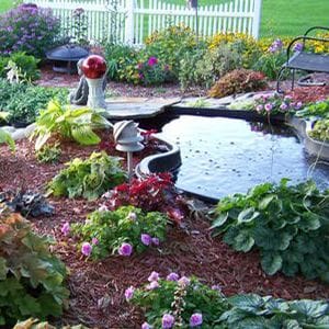 small backyard pond surrounded by a mulched garden bed with numerous young plants in it, a white picket fence and grass visible in the background