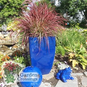 Tall red 'fireworks' graceful grass grows in a blue planter patio stones. More green plants surround it. 