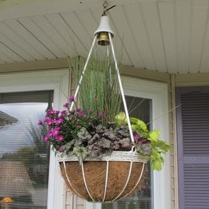 hanging basket with a variety of plants suspended from a light fixture on a front porch