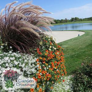 Tall red grasses surrounded by white and orange flowers. Grass, sand, and a lake are visible in the background.