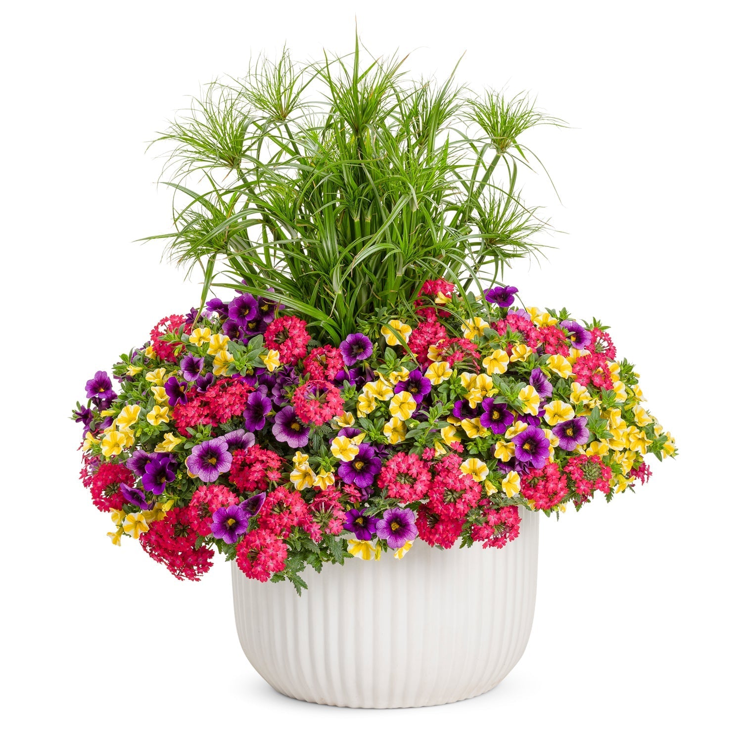 A modern dark planter filled with tall purple flowers, bright yellow blooms, small blue flowers, and green foliage, arranged in a vibrant, colorful display.