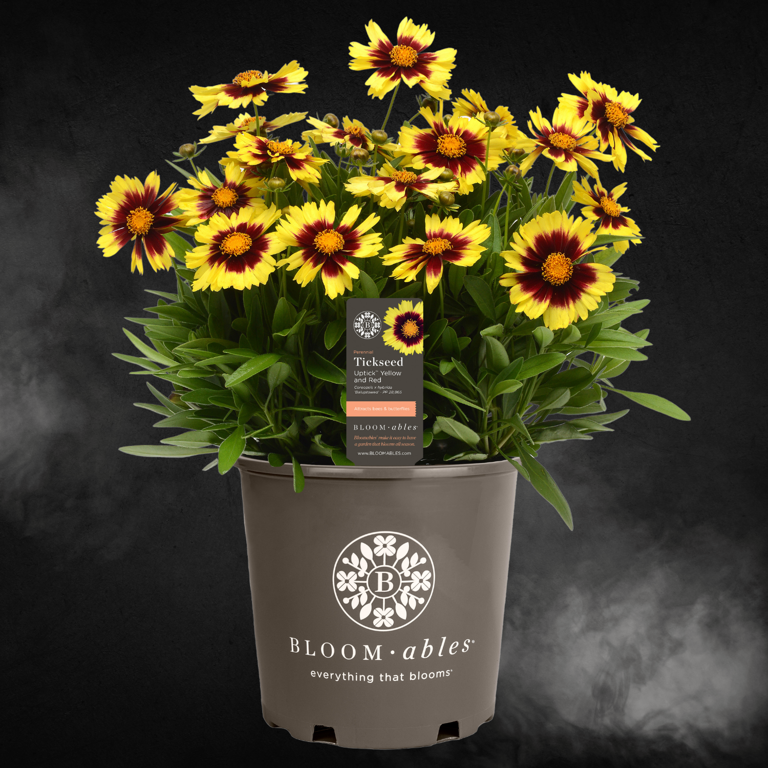 Brand - Bloomables®