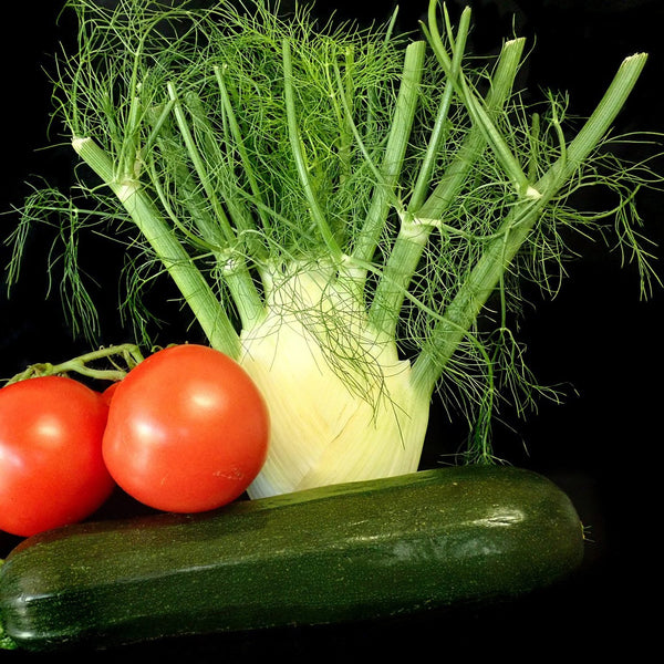 Fennel - Foeniculum - Edibles