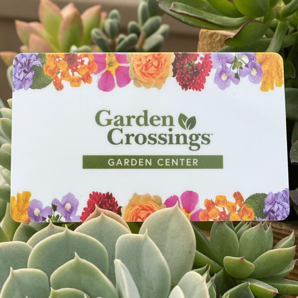 Garden Gifts