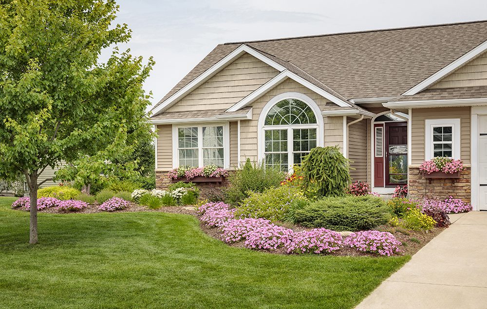 Front yard landscape with a border planting of supertunia vista bubblegum petunias
