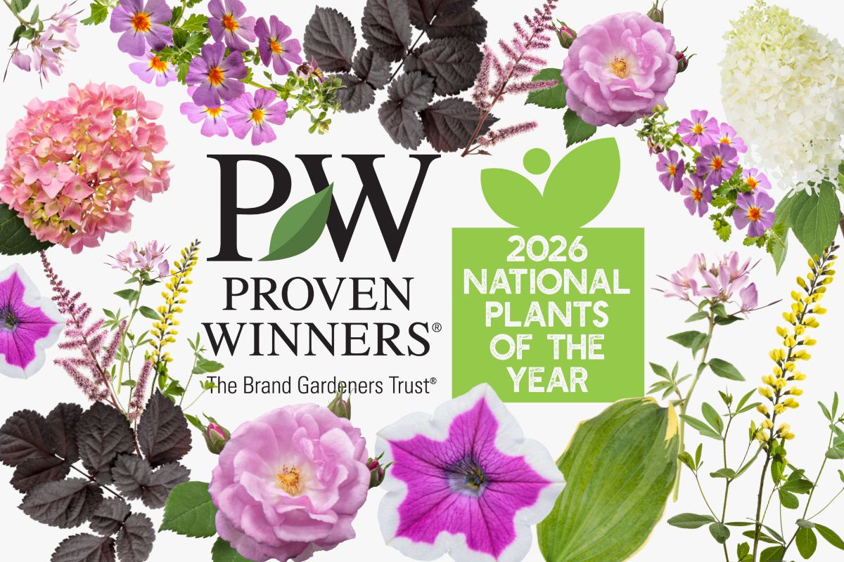 Proven Winners logo surrounded by floral plants next to a green box that says 2026 national plants of the year