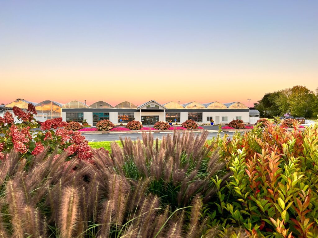 A landscape view of a greenhouse complex at sunset, surrounded by colorful flowers, ornamental grasses, and neatly trimmed shrubs under a clear sky.