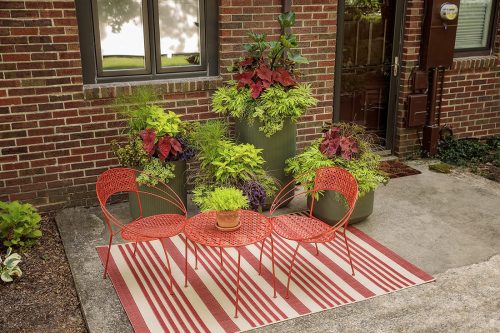 patio with a red wicker coffee table and two chairs, behind which are four large green containers of yellow-green and red plants