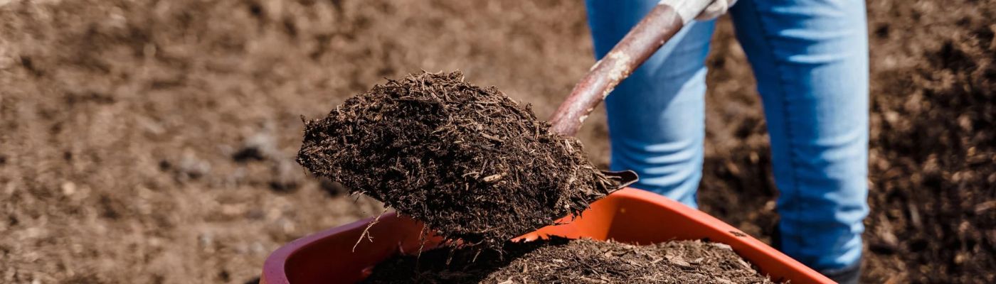 Mulch being added to the garden