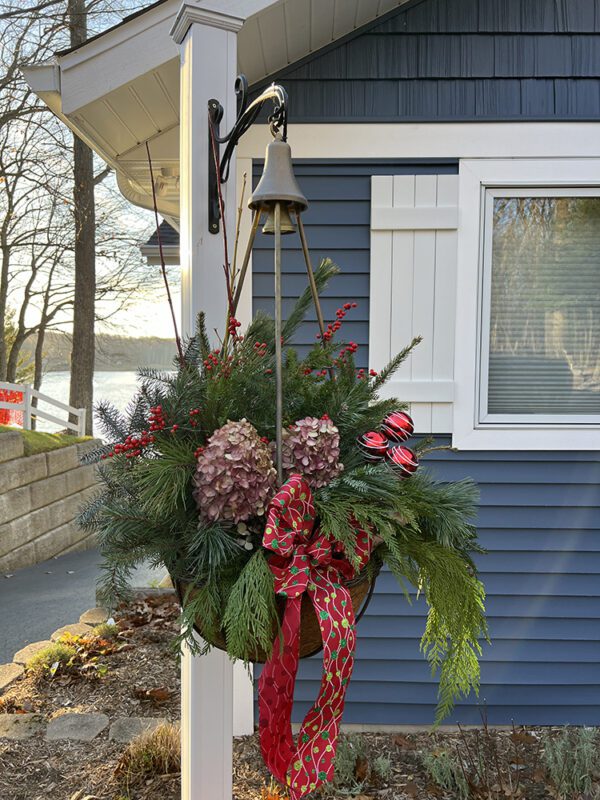 Evergreen winter arrangement in hanging basket