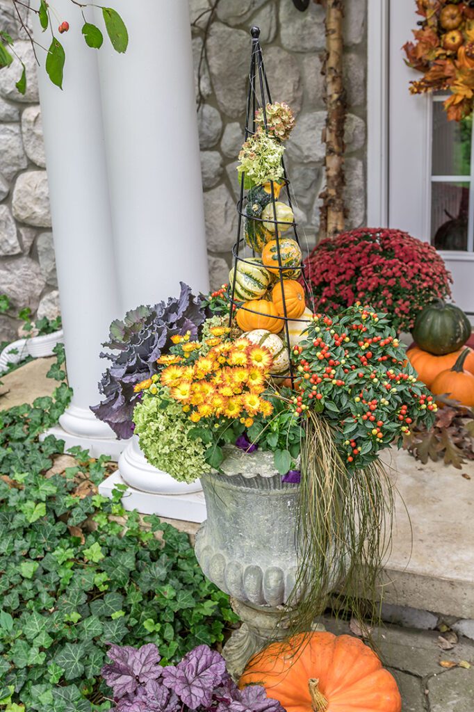 Concreate planter filled with dried flowers
