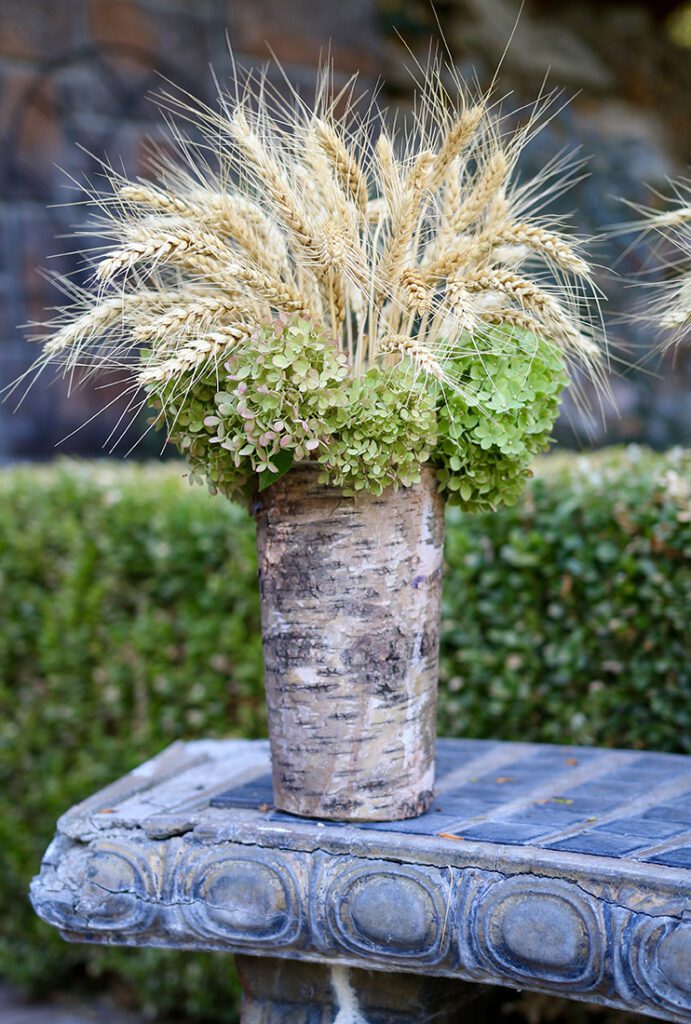 Birchwood vase filled with wheat husks and dried hydrangea blooms