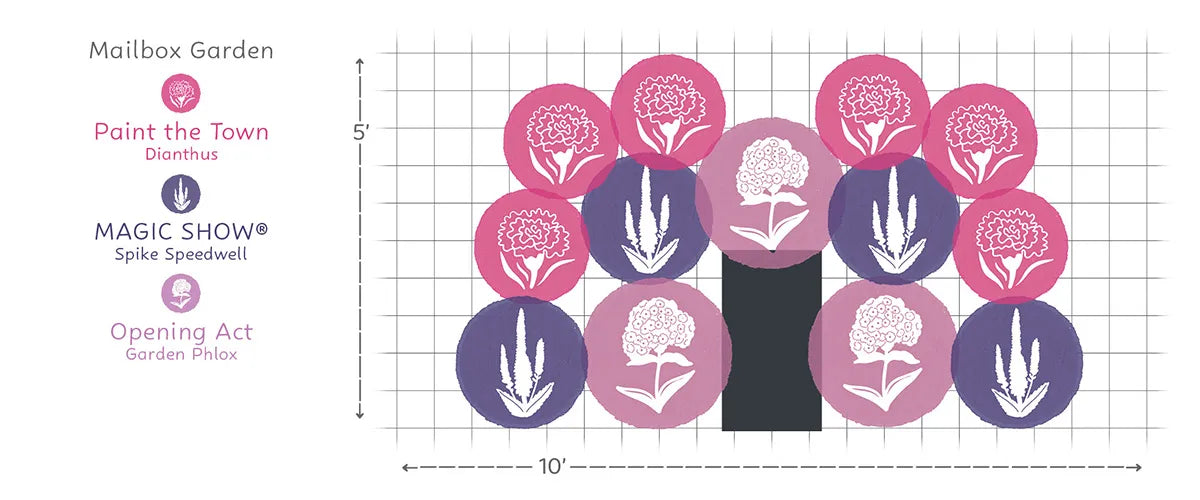 A measurement diagram for a garden party backdrop or mailbox garden arrangement, showing a grid with dimensions 10 by 5, pink and purple circular flower shapes, and a black central panel, with a legend on the left reading 'Mailbox Garden', 'Paint the Town Dianthus', 'MAGIC SHOW Spike Speedwell', and 'Opening Act Garden Philos' - Photo Courtesy of Walters Gardens, Inc.