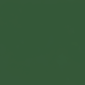 Solid dark green color swatch - 