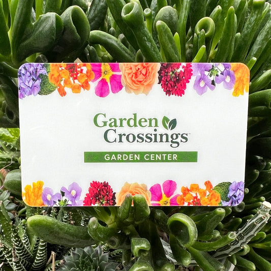 white garden crossings garden center gift card with floral border on a plant -  - 