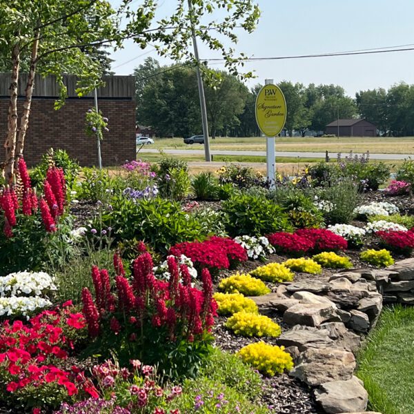 Colorful flower garden with a stone wall and a sign in the background.