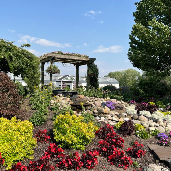 garden scene with a stream with a rock boarder and a wooden gazebo