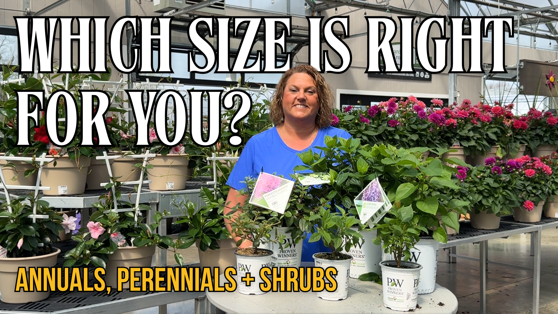 Load video: Plant sizes at Garden Crossings