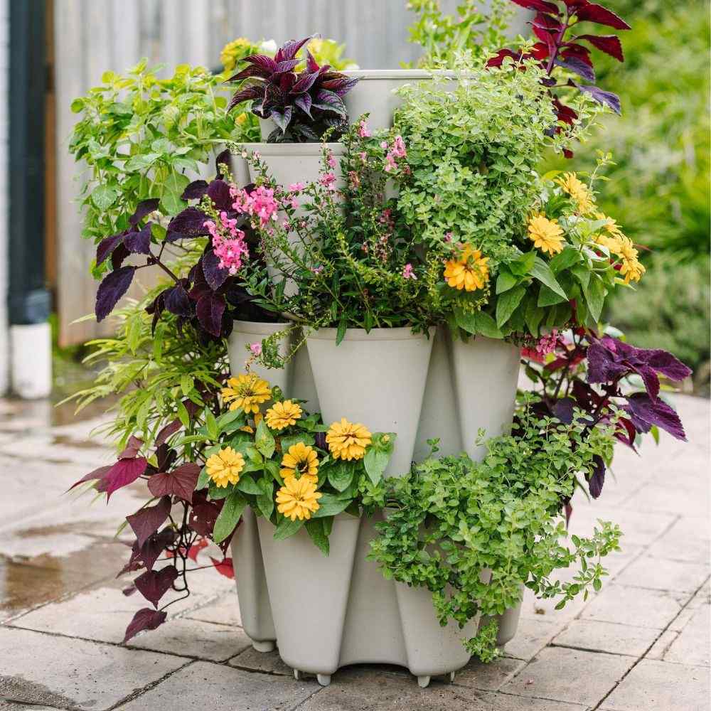 Plants and flowers growing in a planter.