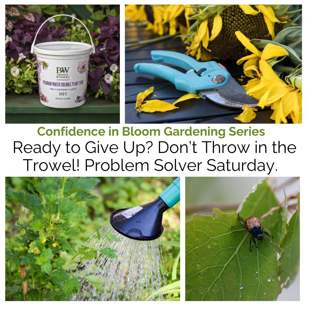 Gardening-themed collage with tools, plants, and text about gardening advice.