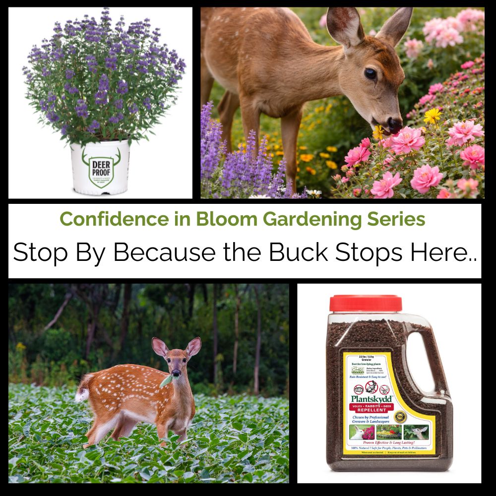 collage of plants and deer