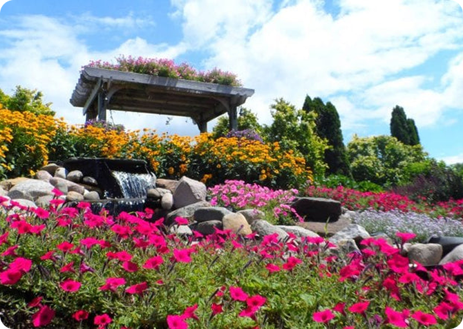 A vibrant garden with pink, yellow, and purple flowers, a small waterfall flowing over rocks, and a wooden pergola covered in greenery and flowers under a blue sky with scattered clouds.