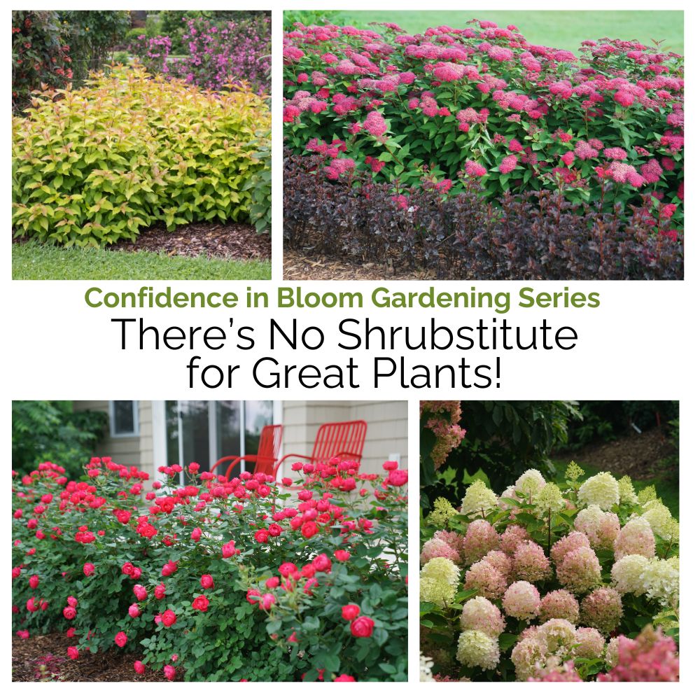 Collage of various shrubs with text about gardening confidence and the importance of great plants.
