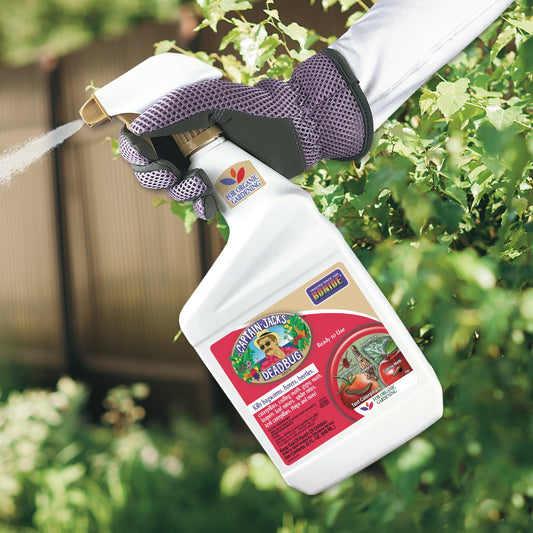 Captain Jack’s® DeadBug Brew® Ready to Use - Photo Courtesy of Captain Jacks®