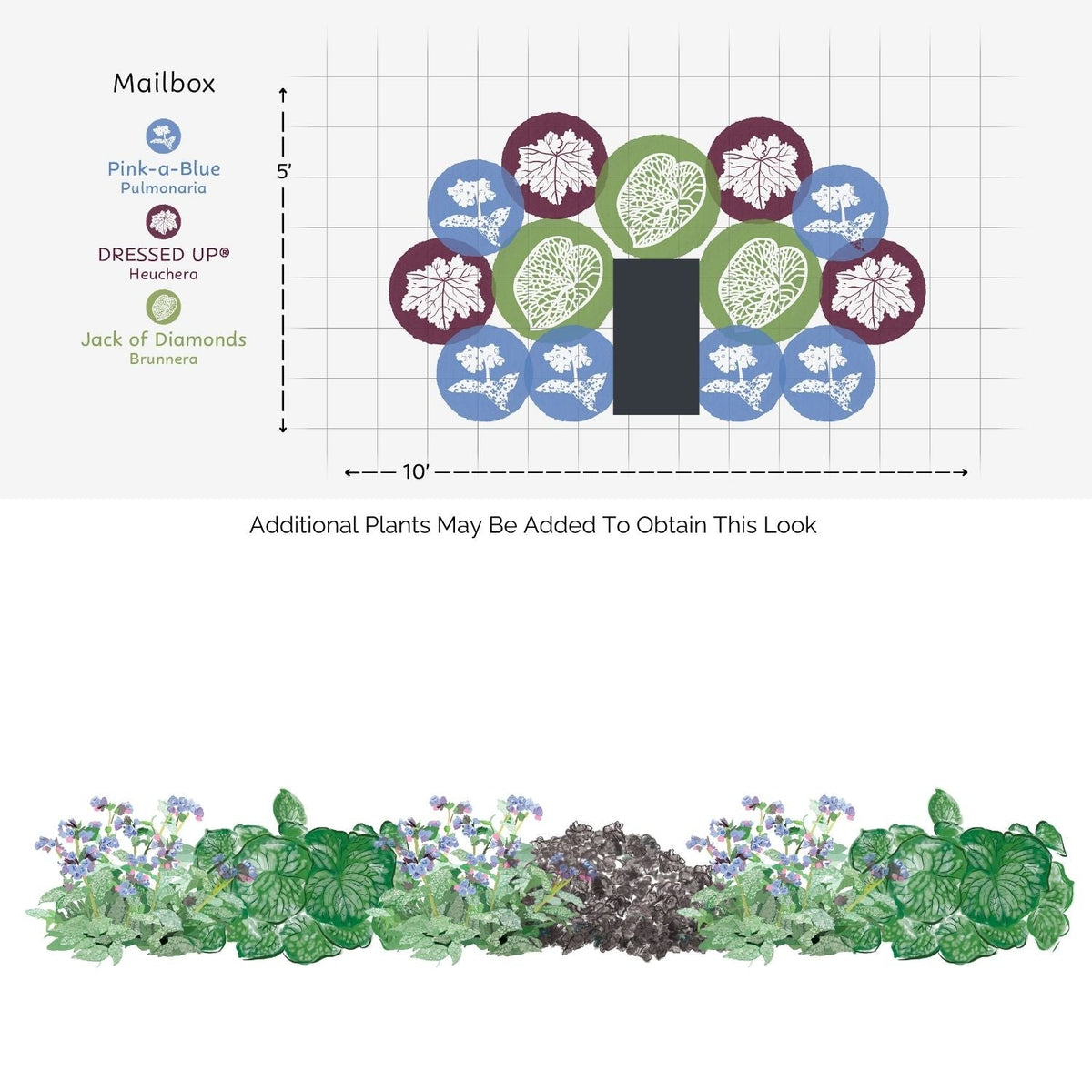 The EZ Scapes™ Deer Proof the Shade #2 Garden Kit features a detailed planting layout for a mailbox flower bed, with Pulmonaria, Heuchera, and Brunnera arranged around your mailbox in both front and top-view diagrams - Photo Courtesy of Walters Gardens, Inc.