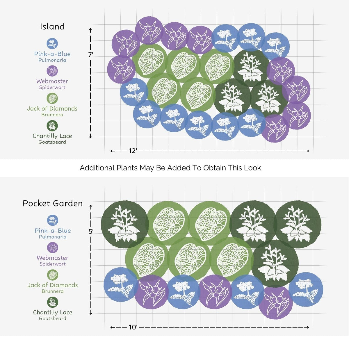 Diagram showing two EZ Scapes™ Fairy Lace Treasure Garden Kit layouts: Island (12x7) and Pocket Garden (10x5), with color-coded groupings of Pulmonaria, Spiderwort, Brunnera, and Goatsbeard labeled in circles - Photo Courtesy of Walters Gardens, Inc.
