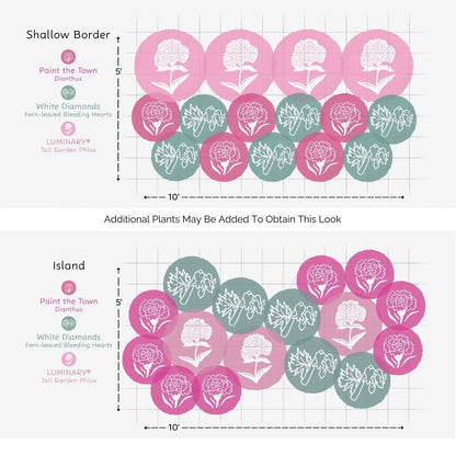 Two diagrams display plant groupings for Shallow Border and Island layouts using pink and green circles, labeled by type, from the EZ Scapes™ Bloom & Rebloom Garden Kit. Gridlines show recommended spacing - Photo Courtesy of Walters Gardens, Inc.