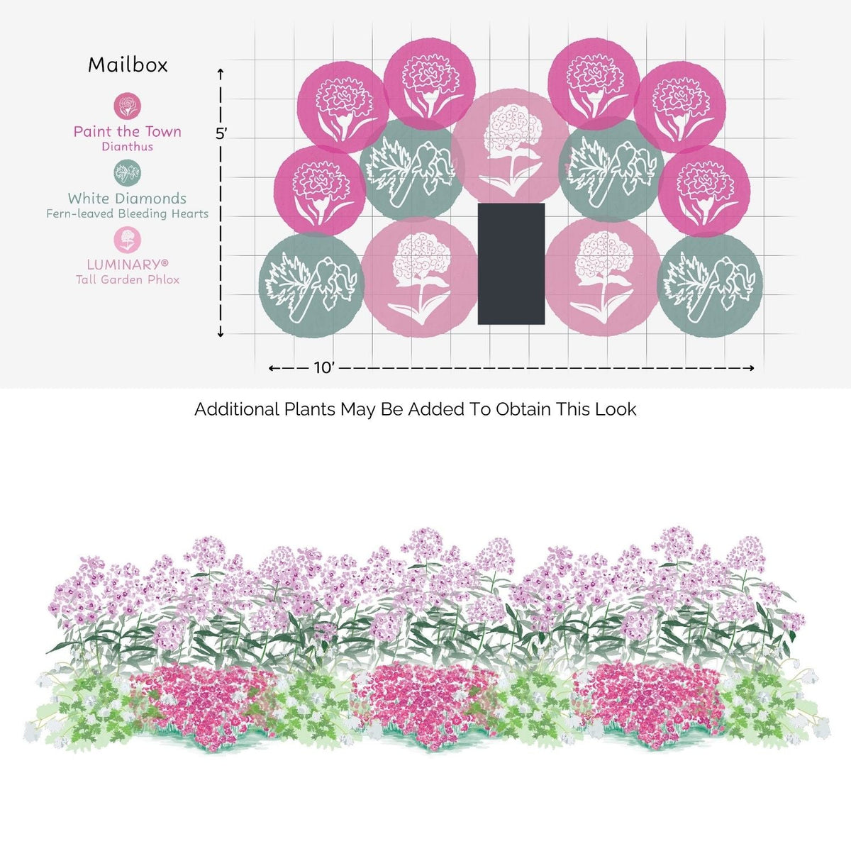 A diagram shows a mailbox flower bed layout from the EZ Scapes™ Bloom & Rebloom Garden Kit, with pink and white flowers—Paint the Town Dianthus, White Diamonds Bleeding Hearts, and Luminary Phlox—grouped around a mailbox - Photo Courtesy of Walters Gardens, Inc.