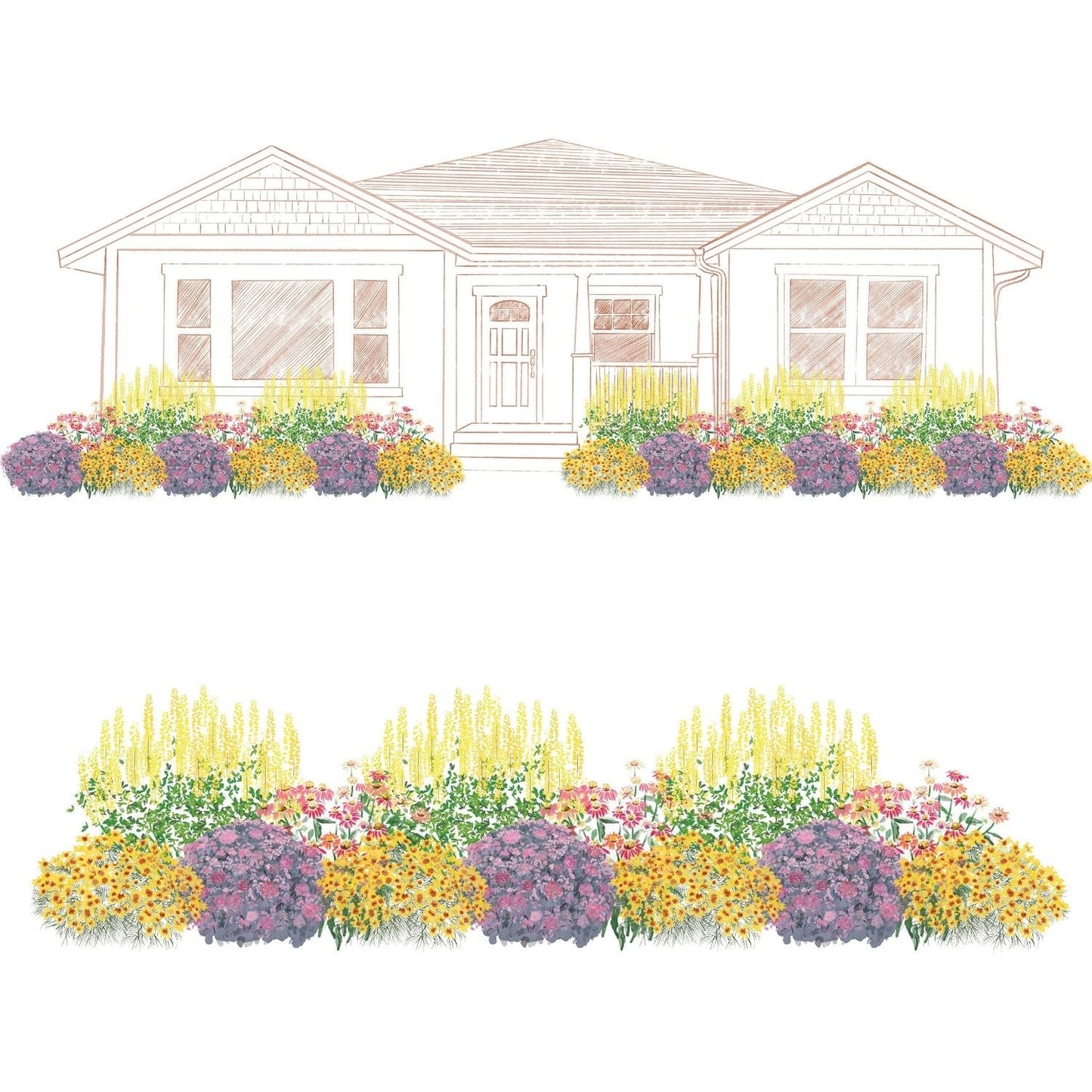 Illustration of a house with landscaped front yard, featuring colorful Designer Threads Coreopsis arranged symmetrically to create a bird-friendly garden using the EZ Scapes™ Bring In The Birds Garden Kit  - Photo Courtesy of Walters Gardens, Inc.