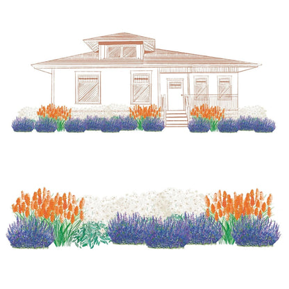 The EZ Scapes™ Bronco Country Garden Kit creates a layered garden with orange, white, and purple flowers—purple blooms at the front edge and clusters of orange flowers near the entrance to your house - Photo Courtesy of Walters Gardens, Inc.